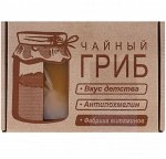 Чайный гриб (комбуча) закваска, 100 г