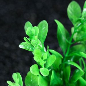 ВЫВОДИМ Растение искусственное аквариумное, 3 х 13 см, зелёное   7523945