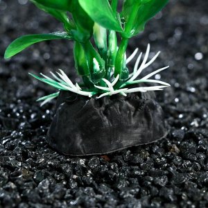 ВЫВОДИМ Растение искусственное аквариумное, 3 х 13 см, зелёное   7523945