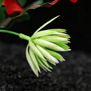 ВЫВОДИМ Набор растений искусственных для аквариума (2 шт), 20 см    3184329