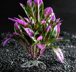 ВЫВОДИМ Растение искусственное аквариумное, 15 х 15 х 12 см 3184338