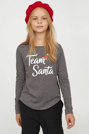 футболка Серый Серый / Команда Санта