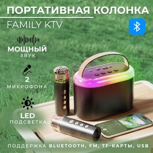 Портативная караоке - колонка, 2 беспроводных микрофона Family KTV Q-6