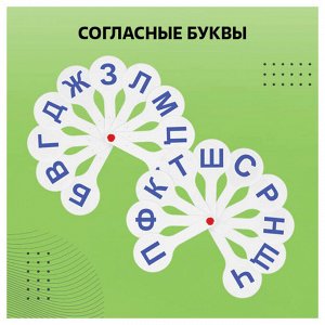 Набор веер-касс, 3шт. , гласные, согласные и цифры от 1 до 20, СТАММ