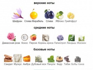 Night Dose Vertus парфюмерная вода