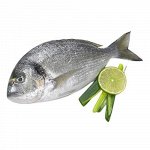 Дорада непотрошеная с головой (Турция) ~350гр