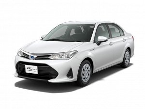 Ковры салонные Toyota Corolla Axio 4WD (2019) правый руль