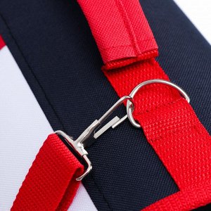 Сумка-переноска, каркасная, 31 х 20,5 х 22 см, синий-красный 7316214