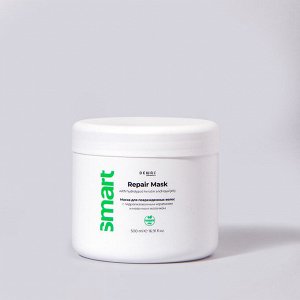 Dewal cosmetics Маска восстанавливающая для поврежденных волос Dewal SMART CARE Repair 500 мл