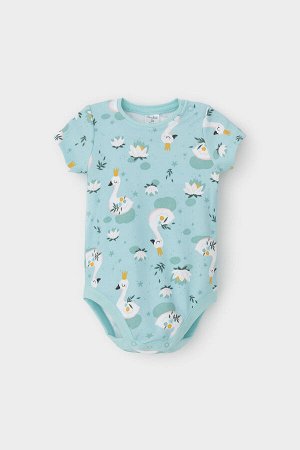 Полукомбинезон(Осень-Зима)+baby (сказочные лебеди на морозном шалфее)