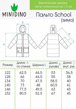 Куртка зимняя School олово