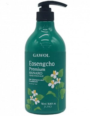 Juno Шампунь - Кондиционер 2 в 1 с экстрактом Хауттюйнии / Eosengcho Premium Hanaro, Ю. Корея, 750 г