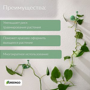 Крепления для вьющихся растений, настенные, самоклеящиеся, «Улитка», d=10 мм, набор 10 шт., Greengo