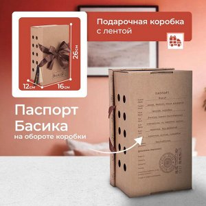 кот Басик в пижаме мягкая игрушка