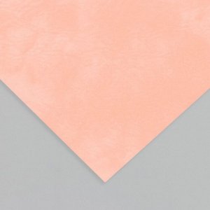 Лист для творчества искусственная кожа «Масло. Матовый», персиковый лист 33x20 см, толщина 0.74 мм