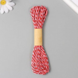 Пряжа для вязания спицами, крючком 100% целлюлоза Softino Raffia Color Melange, кручёная, красно-розовая, 10 м