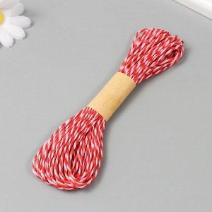 Пряжа для вязания спицами, крючком 100% целлюлоза Softino Raffia Color Melange, кручёная, красно-розовая, 10 м