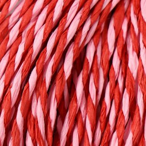 Пряжа для вязания спицами, крючком 100% целлюлоза Softino Raffia Color Melange, кручёная, красно-розовая, 10 м