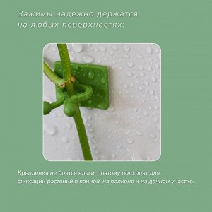 Крепления для вьющихся растений, самоклеящиеся, d=9 мм, цвет МИКС, Greengo