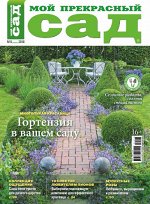 МОЙ ПРЕКРАСНЫЙ САД 6/18 Гортензия в вашем саду