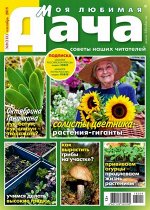 МОЯ ЛЮБИМАЯ ДАЧА 9/18