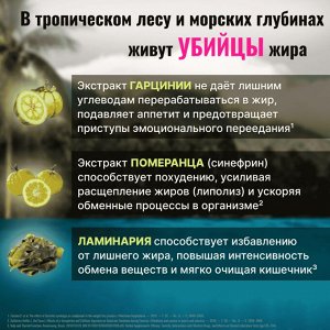 Жиросжигатель