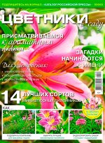 ЦВЕТНИКИ в саду 8/18