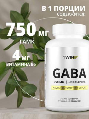 GABA+В6 GABA, или гамма-аминомасляная кислота, представляет собой ключевой нейромедиатор, который играет важную роль в поддержании оптимального функционирования нашей нервной системы. Этот продукт пре