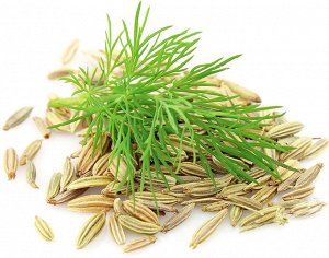 Фенхель семена (Китай) 50 гр