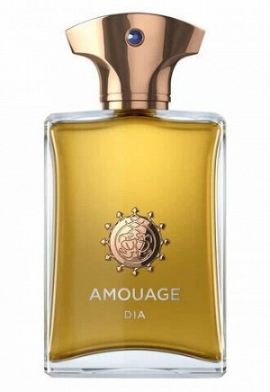 AMOUAGE DIA edp (m) 100ml   м(н) тестер в слюде парфюмерная вода мужская