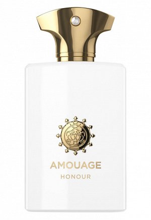 AMOUAGE HONOUR edp (m) 100ml м(н) тестер в слюде парфюмерная вода мужская