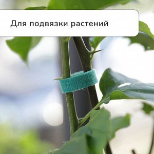 Лента «Липучка» для подвязки растений, 5 м, зелёная, Greengo