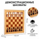 Шахматы демонстрационные, магнитные, 73x73 см