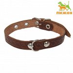 Ошейник кожаный однослойный неукрашенный, 1,2 см, ОШ 20-26 см, микс цветов и видов 2179397