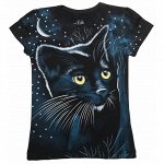 Кот с луной