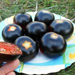 Помидоры Каштановый Шоколадный — Chestnut Chocolate Tomato