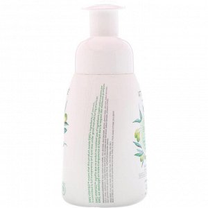 ATTITUDE, Super Leaves Science, Natural Foaming Hand Soap, Olive Leaves, 10 fl oz (295 ml)