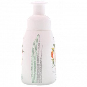 ATTITUDE, Super Leaves Science, Natural Foaming Hand Soap, Orange Leaves, 10 fl oz (295 ml)