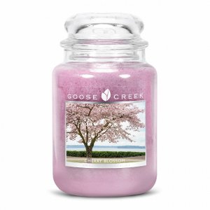 CHERRY BLOSSOM/ ВИШНЯ В ЦВЕТУ (ярко-розовые цветки заполняют сельскую местность неземным, истинным вишневым ароматом)