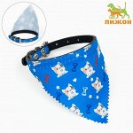 Ошейник с косынкой &quot;Яркая жизнь&quot;, 32 х 1 см, синий   9164352