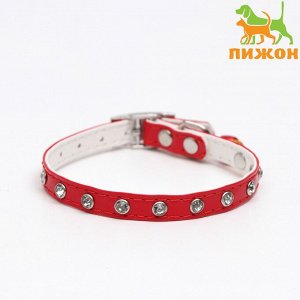 Ошейник с круглыми стразами,28 х 1 см, ОШ 21-25 см, искусств. кожа, красный   7030678