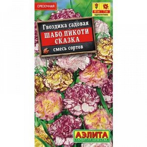 Гвоздика Шабо Пикоти Сказка (Аэлита)
