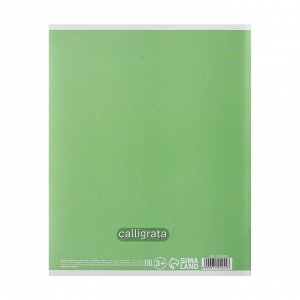 СИМА-ЛЕНД Тетрадь 12 листов в клетку Calligrata &quot;Пятёрка. Зелёная&quot;, обложка мелованный картон, блок офсет, белизна 95%