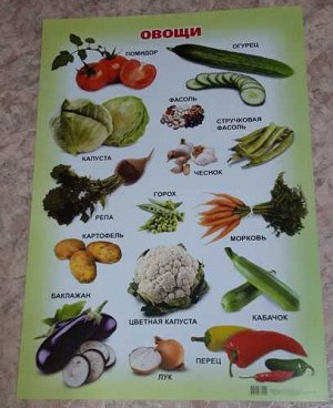 Плакат обучающий "Овощи"