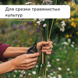 Ножницы садовые, 8" (20 см), с пластиковыми ручками, Greengo