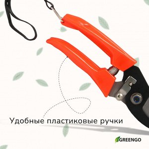 Секатор плоскостной, 7" (18 см), с пластиковыми ручками, Greengo