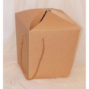 Коробка - сумка сборная 20 х 20 х 20 см