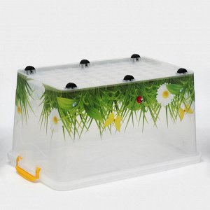 Контейнер для хранения с крышкой «Hide box. Трава», 50 л, 60x38x31 см, на колёсиках, МИКС