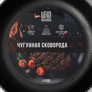 Сковорода Wild Kitchen, d=22 см, лопатка и губка в комплекте, чугун