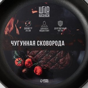 Сковорода Wild Kitchen, d=26 см, лопатка и губка в комплекте, чугун